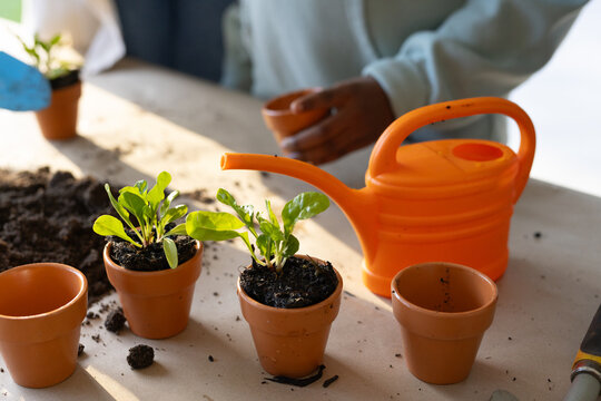 African American female pair planting seedlings on paper table with clay pots, soil, watering can