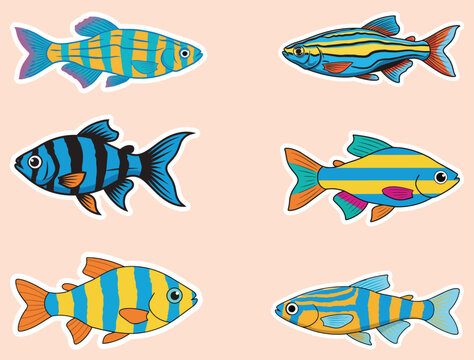 ZEBRA DANIO FISH STICKER