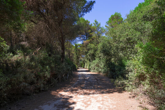 Strada sterrata