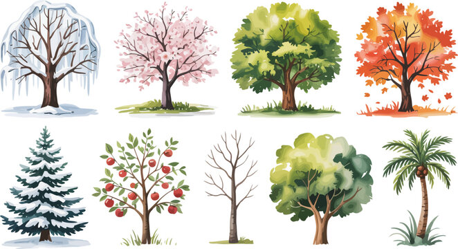 Eight diverse trees in different seasons and climates on a vector, transparent background