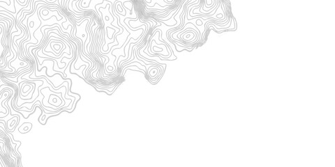 Abstract topography pattern seamless lines sea map modern design white background. Abstract digital topographic contour map concept space geometric strip grid line. Natural discovery of maps. © coal digger