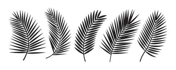 Tropical palm leaf solid silhouettes for jungle theme wallpaper and exotic island travel branding. © Modern