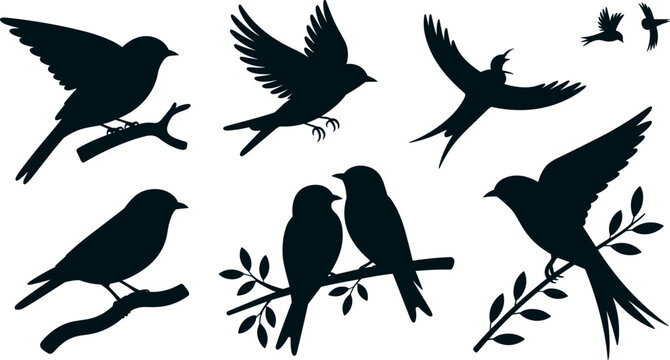 Flying and Perching Birds Black Silhouette Vector Set Featuring Detailed Shapes of Songbirds Swallows and Sparrows on Tree Branches with Leaves