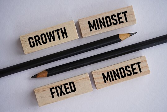 GROWTH MINDSET FIXED MINSET print. Thinking concept. Education concept. Thinking guide to change life. Maximum use of the brain. Pencil and Wooden block background