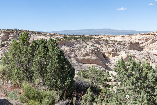 The desert Landscape of Southern Utah near Boulder, United States