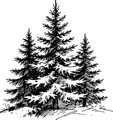 Obraz premium black and white drawing of dense fir trees in a forest landscape with detailed branches and needles