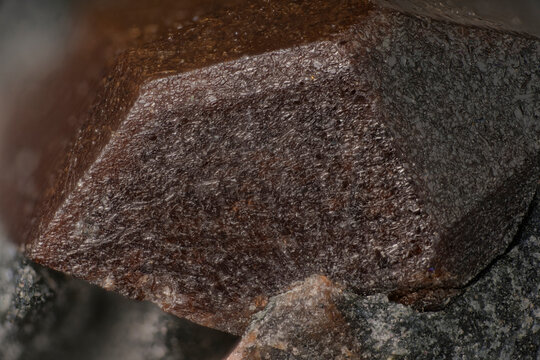 Microscope macro photography of rare lorenzenite crystal face microtopography from Kola Peninsula via 5x objective. Ultra detailed focus stacked image showing mineral surface growth structures