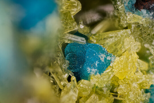 5X magnification microscopic shot of prismatic yellow pyromorphite crystals on a blue chrysocolla matrix from Congo, Africa.