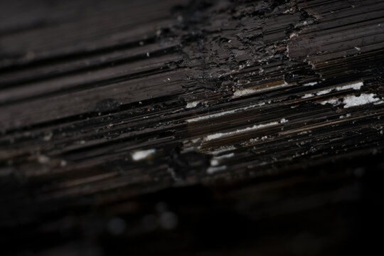 Black schorl tourmaline crystal vertical micro fault healed with secondary mineral growth under 5x objective lens