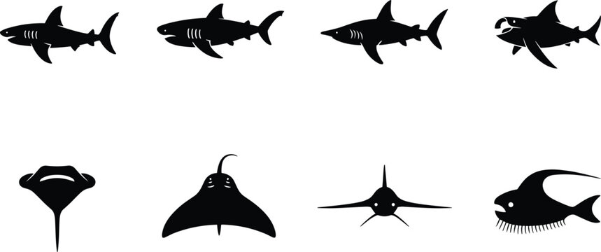 Marine Animal Silhouette Set with Sharks Stingray Swordfish Manta Ray and Deep Sea FishMarine Animal Silhouette Set with Sharks Stingray Swordfish Manta Ray and Deep Sea Fish