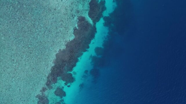 Aerial View of Coral Reef and Deep Blue Ocean
