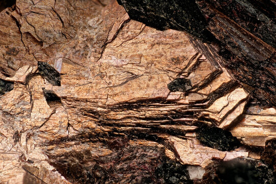 Microscopic view of lamprophyllite and aegirine mineral crystals from Khibiny macro photography close up of rare alkaline pegmatite specimen geological sample under 5x microscope lens