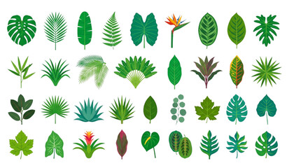 Exotic tropical leaf icon pack with colorful botanical vector elements isolated on white background © DhoniChandra