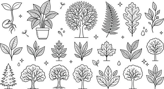 Nature trees and plant leaves line icon set with potted houseplant oak maple fern sprout pine and foliage