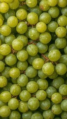 Obraz premium Fresh green grapes filling the frame create a natural organic fruit background rich in freshness and healthy nutrition.