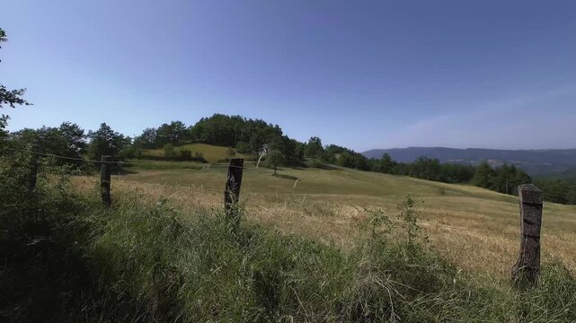 Campagna rurale estate