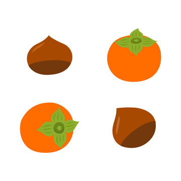 Autumn persimmon and chestnut elements. Set of autumn nature decorative elements vector illustration.