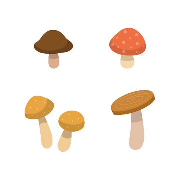 Autumn mushrooms elements. Set of autumn nature decorative elements vector illustration.