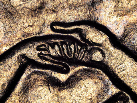 Microscopic detail of engraved clasped hands on a 1974 French 50 francs coin