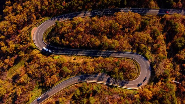 Above view of S curve road with cars. Drone perspective of multiple switchbacks through autumn forest with several vehicles traveling the route.