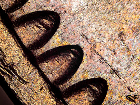 Reeded edge of a 1974 French 50 francs coin under microscope