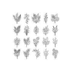 Fototapeta premium Minimalist Botanical Leaf Bouquet Outline Drawing for Contemporary Organic Brand Identity Layouts