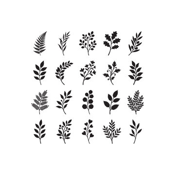 Minimalist Botanical Branch Silhouettes Lea K Outline Drawing for Contemporary Organic Brand Identity Layouts