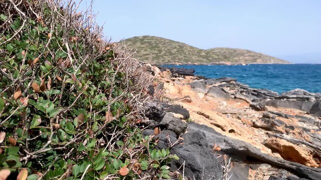 Natural rocky coastline with Mediterranean shrubs overlooking the deep blue sea in the Greek Islands. A peaceful coastal landscape ideal for travel, tourism, nature, and environmental concepts.