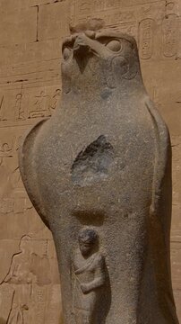 Ancient falcon statue representing Horus stands against temple walls covered in hieroglyphs at the Edfu Temple Complex, symbolizing power and divine protection. Egypt