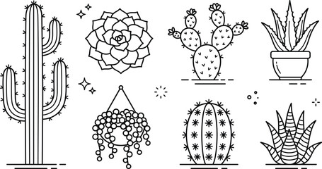 Cactus and succulent line icon set with saguaro aloe vera prickly pear hanging plant potted desert vegetation vector © Mst