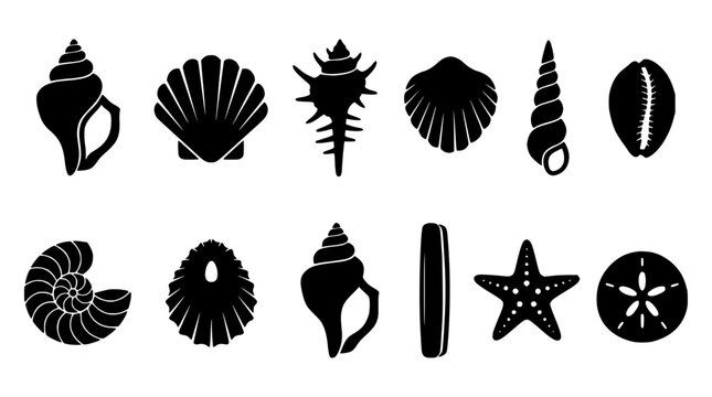 Seashell Silhouette Icon Set with Various Marine Life Designs Including Starfish and Spiral Shells Featuring Shell, Design, Black