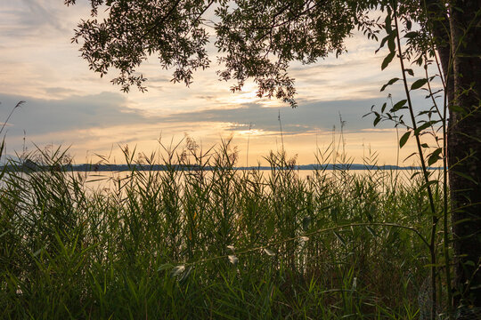 Calm lakeshore with reeds at sunset on Lake Chiemsee, Bavaria, Germany