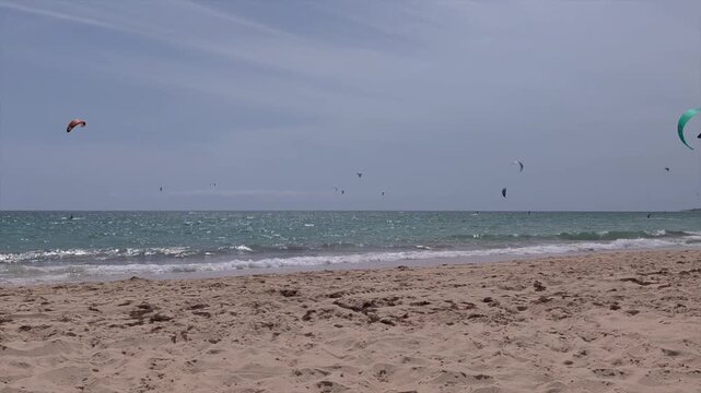 Happy border collie running freely along a windy beach with kitesurfers in the background 