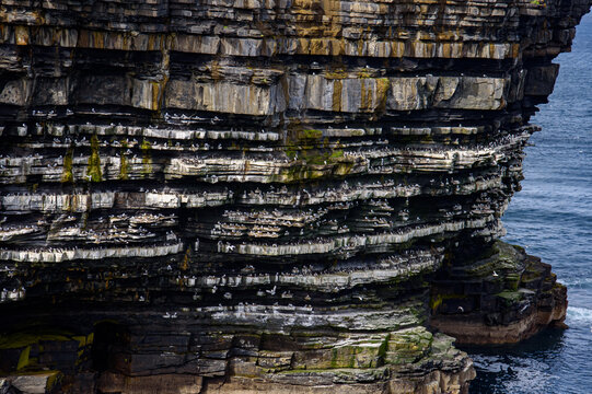 Nesting seabirds on the layered Dun Briste sea stack, Downpatrick Head cliff close-up, County Mayo, Ireland