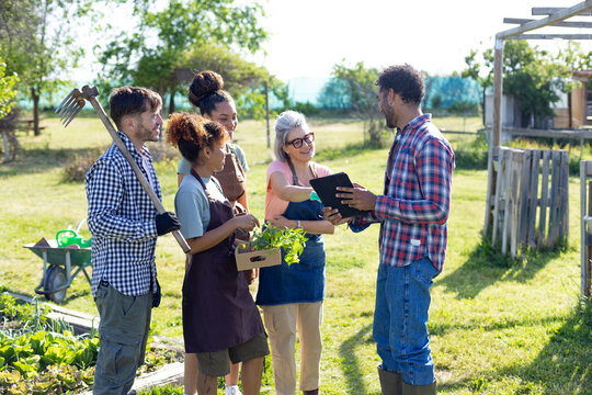 Diverse people discussing farming plans using digital tablet