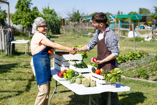 Gardeners shaking hands making deal at vegetable patch