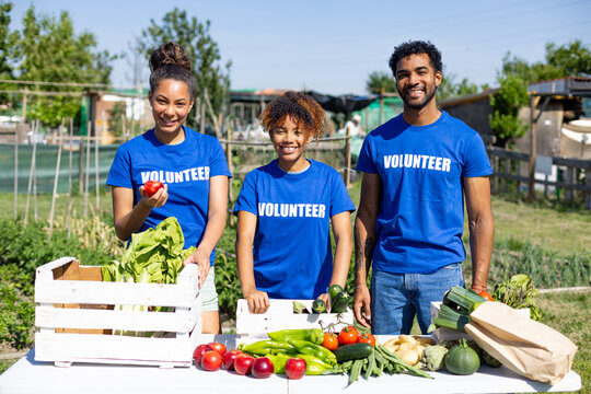 Volunteers organizing fresh produce at community garden