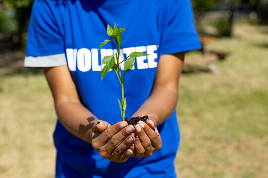 Volunteer holding young plant for environmental restoration