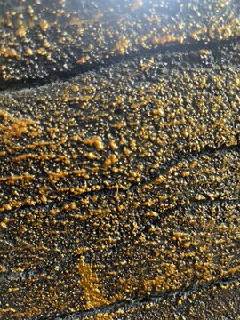 yellow water surface