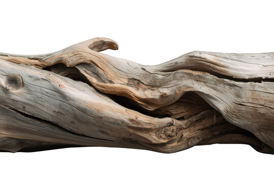 Weathered driftwood log with gnarled texture and natural patterns on transparent background