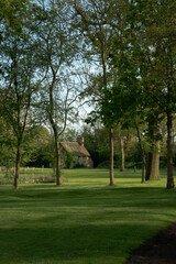 Charming Old Stone Cottage Nestled in a Sunlit Forest Glade © Anne