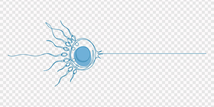 Many sperm cells around the egg drawn in one line on a white background. Concept of pregnancy, contraception, family planning. transparent background, sperm cells around a egg continuous line drawing.