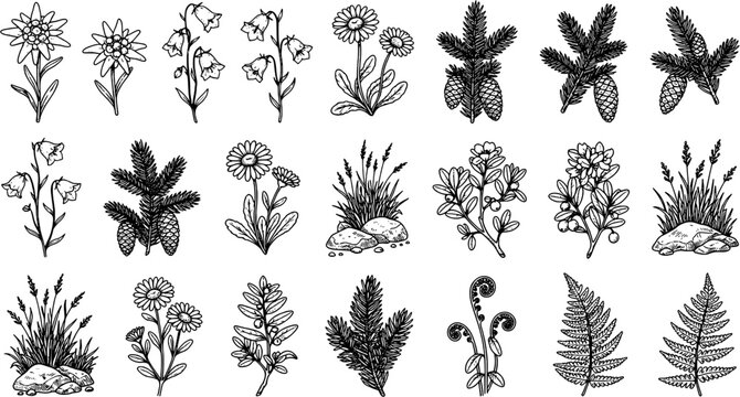 Alpine flower and plant icon set in a hand-drawn engraved style including edelweiss, bluebells, daisies, spruce branches, pine cones, berries and ferns.