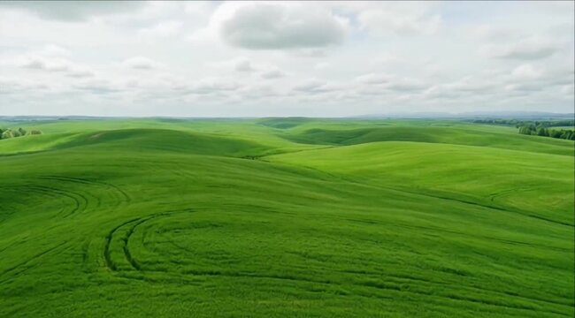 Drone shot of seasonal green rolling hill landscape under cloudy sky with wide open field and calm horizon, rolling meadow and fresh grass field, SEO friendly panoramic landscape view