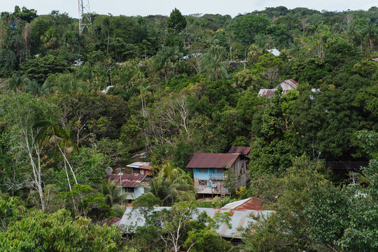 aerial view of Puerto Nari&ntilde;o, Amazonas.