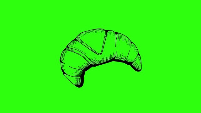 abstract green leaf