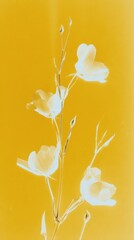 Obraz premium Minimalist floral design on a yellow background, perfect for mobile wallpaper.