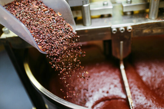 Artisan chocolate making, adding cocoa grits in the Melanger Stone Grinder at home made factory
