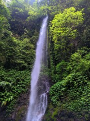 waterfall in the forest © eja