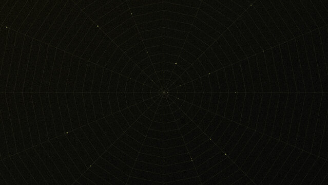 Detailed spider web pattern showing intricate silk lines against a dark background
